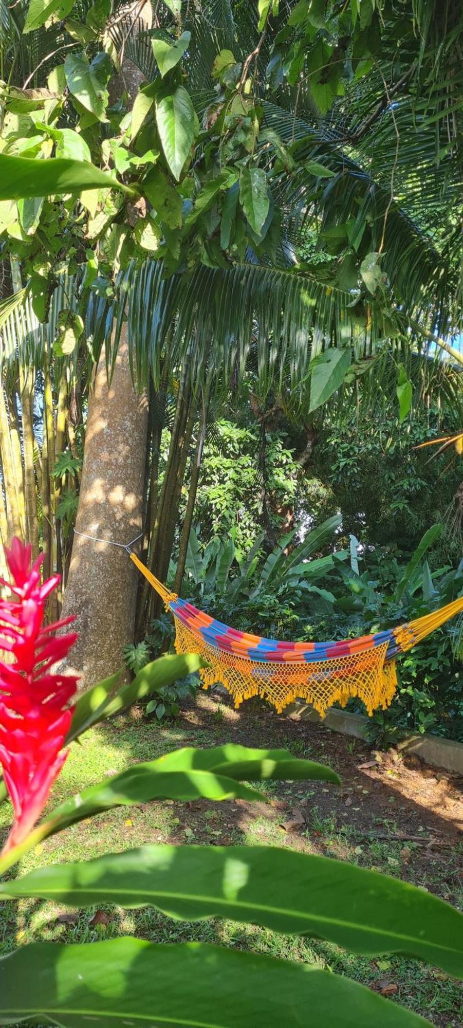 Gite Kaz A Topaze, Piscine, Jardin Tropical Sainte-Rose Εξωτερικό φωτογραφία